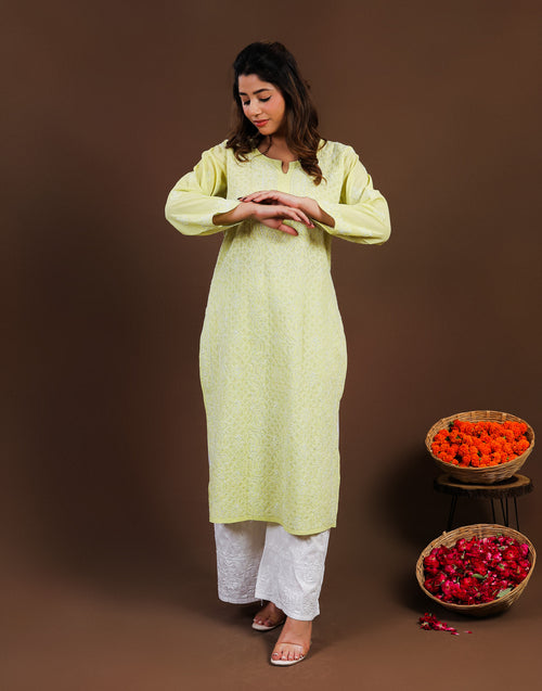 Urviya Chikankari Cotton Long Kurti Full Jaal Work Light Green