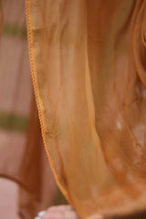 Brown Chiffon Dupatta 177
