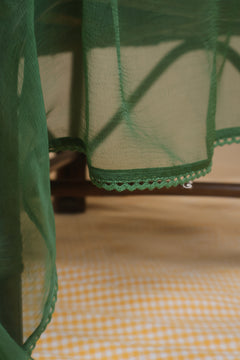 Green Chiffon Dupatta - 17