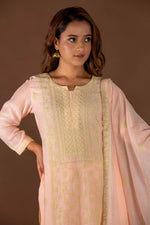 Urviya Chikankari Mul chanderi Peach Green Thread Panel Suit