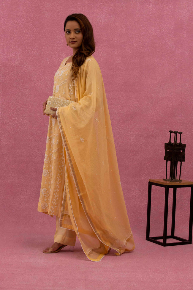 Urviya Chikankari Mul Chanderi Yellow Pearl Work Cutdaana Panel Suit