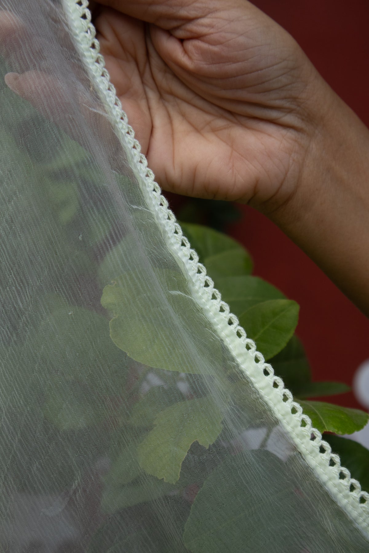 A close-up of a hand holding a sheer white mesh fabric with a decorative scalloped edge, with green leaves and a dark red background visible behind it.