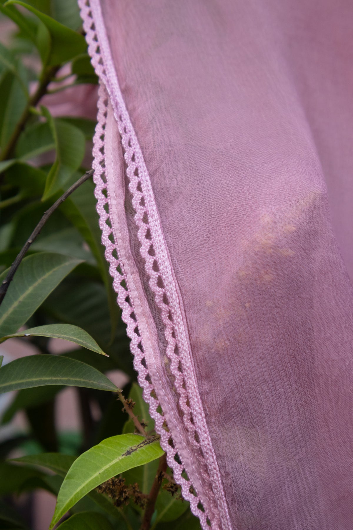 A close-up of a dusty pink sheer fabric, likely a dupatta or scarf, featuring a decorative scalloped lace trim, draped over green leaves.